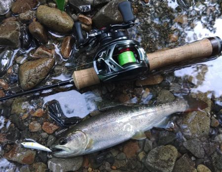 渓流でアマゴ狙い ～長良川水系～